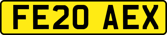 FE20AEX