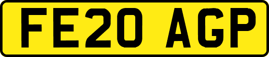 FE20AGP