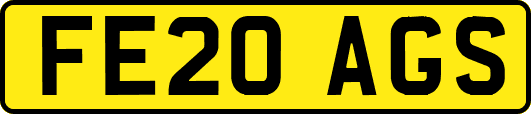 FE20AGS