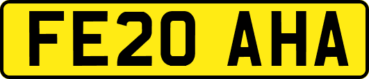 FE20AHA