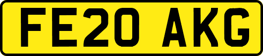 FE20AKG