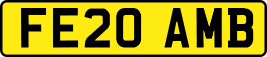 FE20AMB