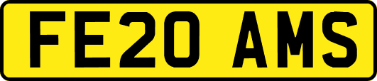 FE20AMS