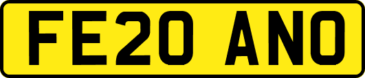 FE20ANO