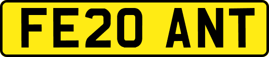 FE20ANT