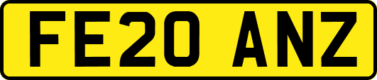 FE20ANZ