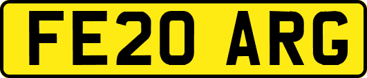 FE20ARG