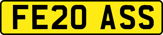 FE20ASS