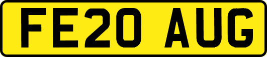 FE20AUG