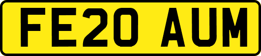 FE20AUM