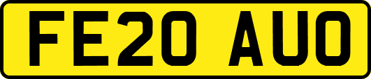 FE20AUO