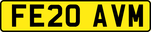 FE20AVM