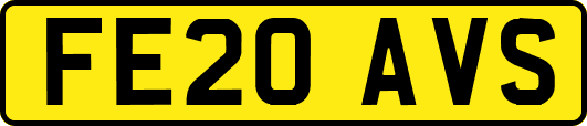 FE20AVS