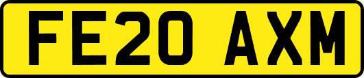FE20AXM
