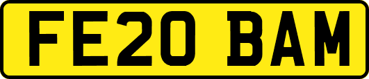 FE20BAM