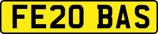 FE20BAS