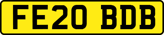 FE20BDB