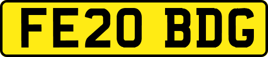 FE20BDG