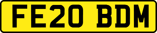 FE20BDM