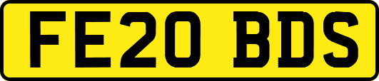 FE20BDS