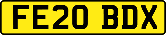FE20BDX