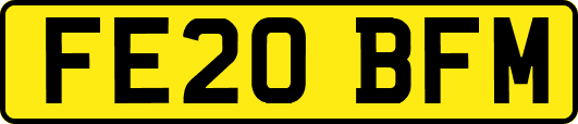FE20BFM