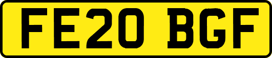 FE20BGF