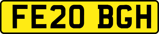 FE20BGH
