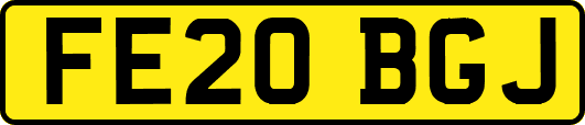 FE20BGJ