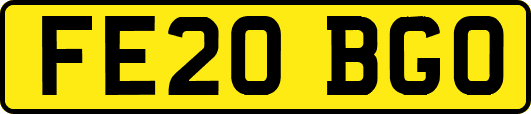 FE20BGO