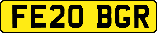 FE20BGR
