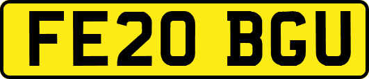 FE20BGU