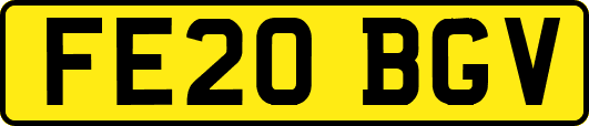 FE20BGV