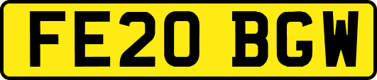 FE20BGW