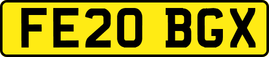 FE20BGX