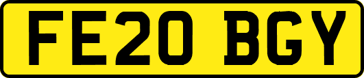 FE20BGY