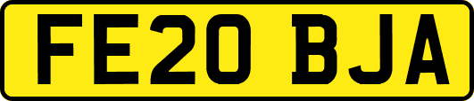 FE20BJA