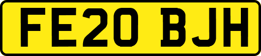 FE20BJH