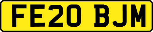 FE20BJM