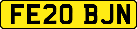 FE20BJN