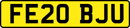 FE20BJU