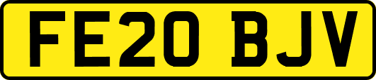 FE20BJV