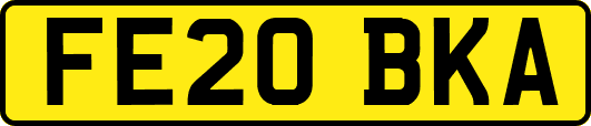 FE20BKA