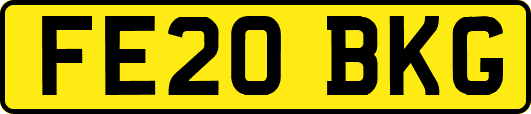 FE20BKG