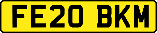 FE20BKM