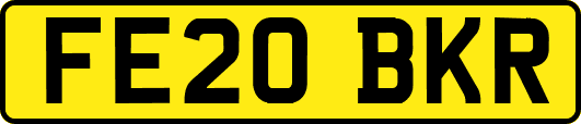 FE20BKR