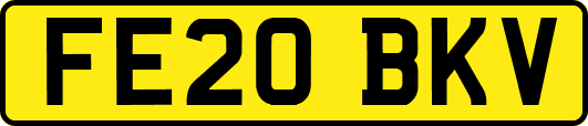 FE20BKV