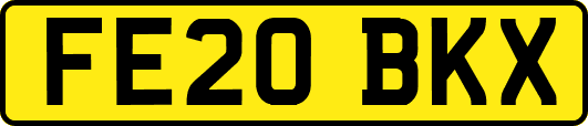 FE20BKX