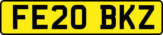 FE20BKZ