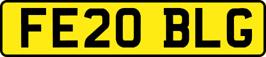 FE20BLG